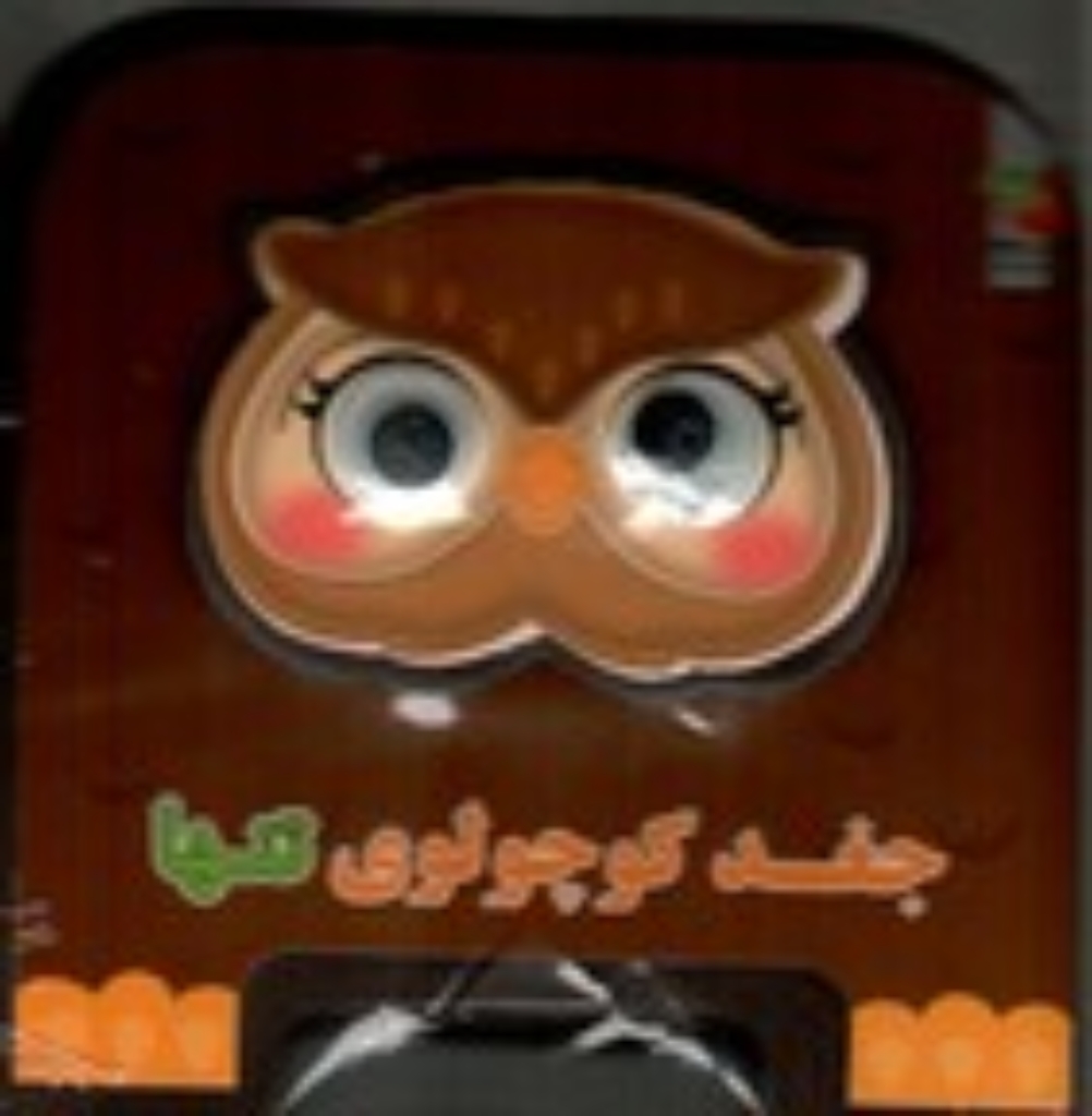 تصویر  کتاب فومی چشمی - جغد کوچولوی تنها (خشتی کوچک-شمیز)